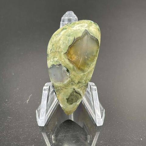 Orbicular Rain-forest Jasper Sail