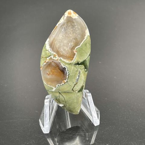 Rare Rain-forest Jasper Imagination Fancy
