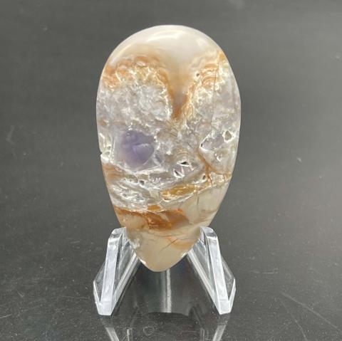 Perkinsville Paleozoic Chert Pear