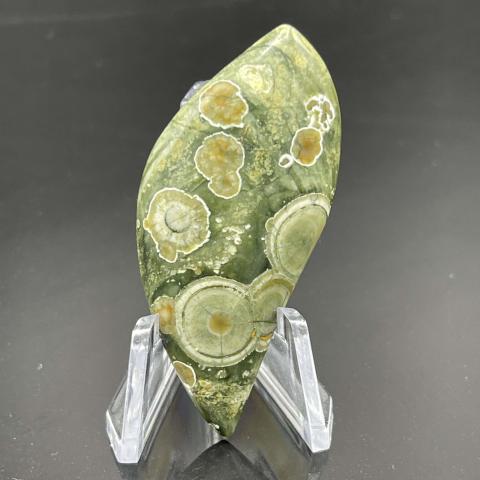 Orbicular Rain-forest Jasper Skewed Navette