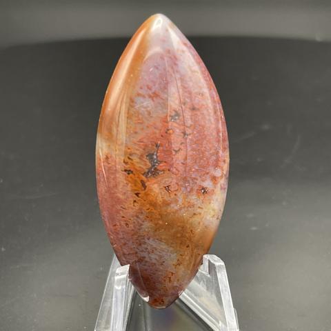 Rainbow Petrified Wood Fancy
