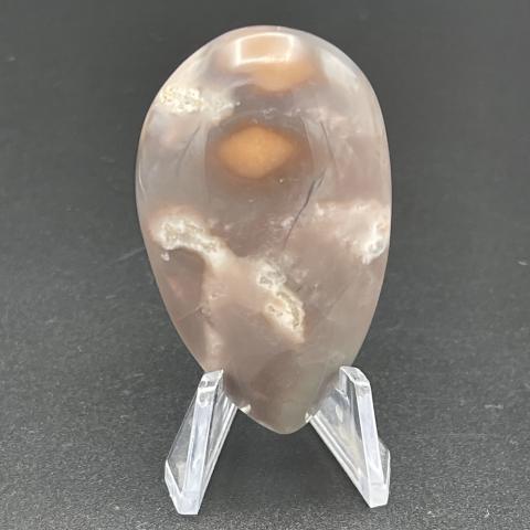 Burro Creek Calico Pear
