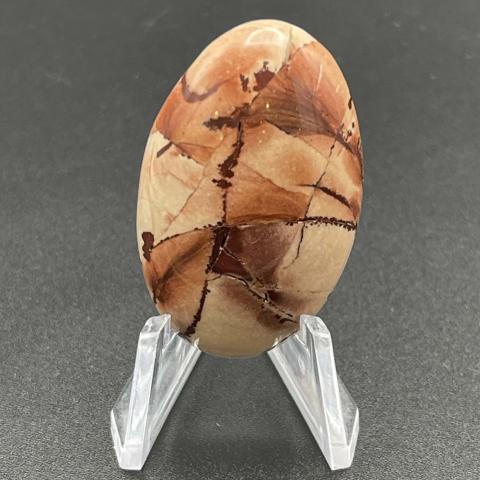 Owyhee Dendritic Jasper Oval