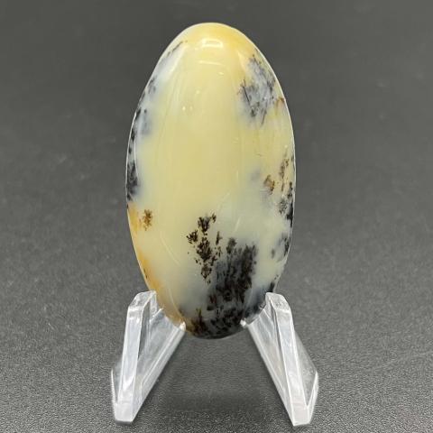 Common Dendritic Opal Oval
