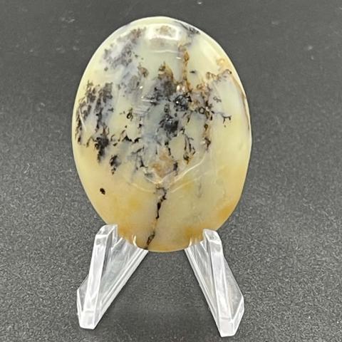 Common Dendritic Opal Oval