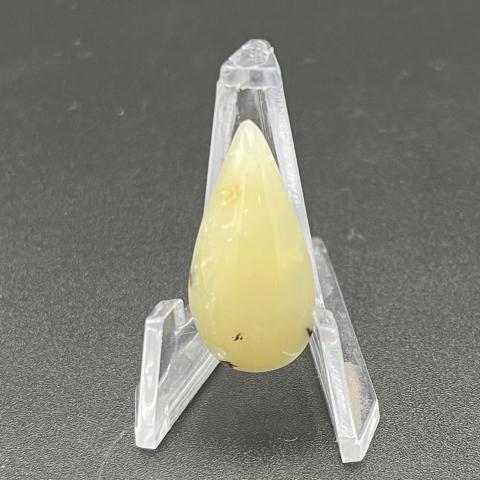 Common Dendritic Opal Pear