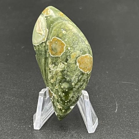 Rain-forest Jasper Orbicular Skewed Navette