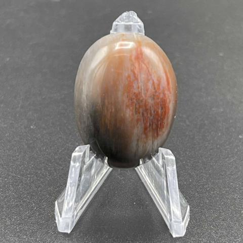 AZ Rainbow Petrified Wood Oval
