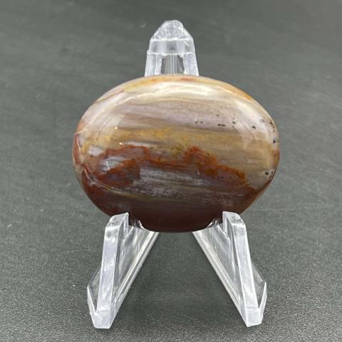 AZ Rainbow Petrified Wood Oval