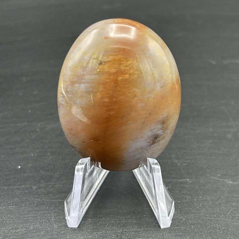 Rainbow Petrified Wood Oval