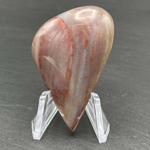 AZ Rainbow Petrified Wood Sail