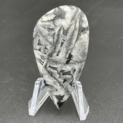 Pinolite Pinolith Sail
