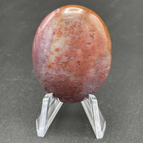 AZ Rainbow Petrified Wood Oval