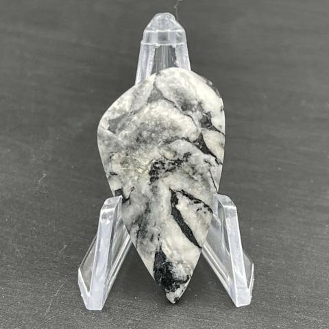 Pinolite Pinolith Sail