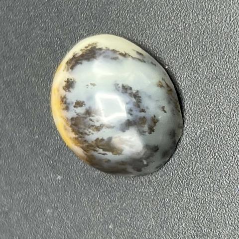 Common Dendritic Opal Oval