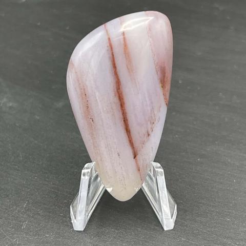 AZ Rainbow Petrified Wood Sail