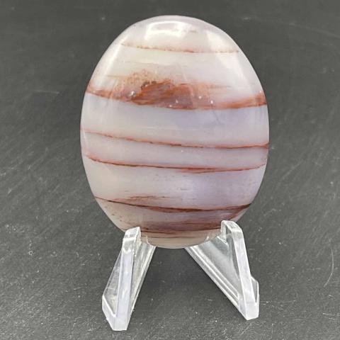 AZ Rainbow Petrified Wood Oval