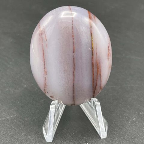 AZ Rainbow Petrified Wood Oval