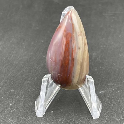AZ Rainbow Petrified Wood Pear