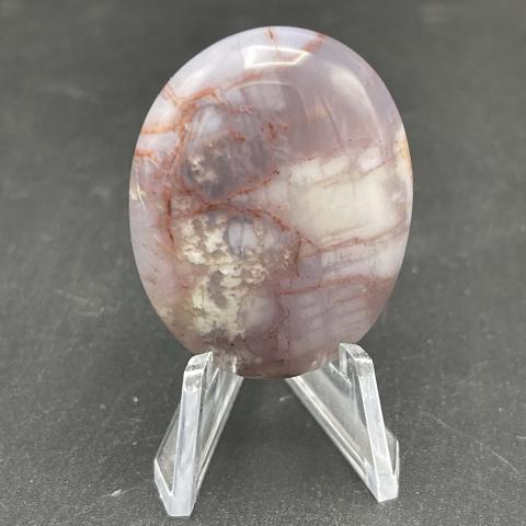 AZ Rainbow Petrified Wood Oval
