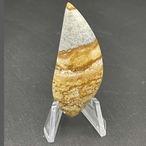 Carlina Picture Rock Skewed Navette