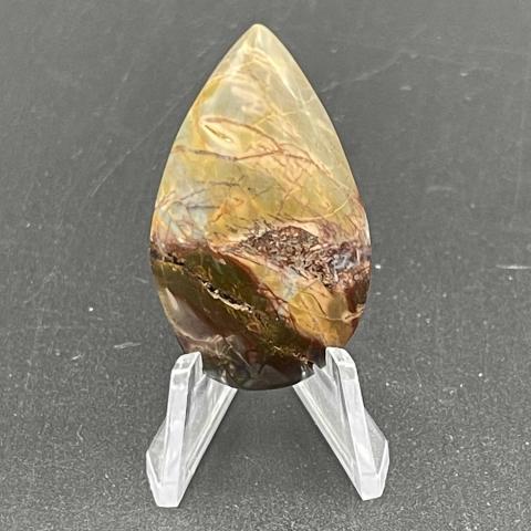 Ckerry Creek Picasso Pear