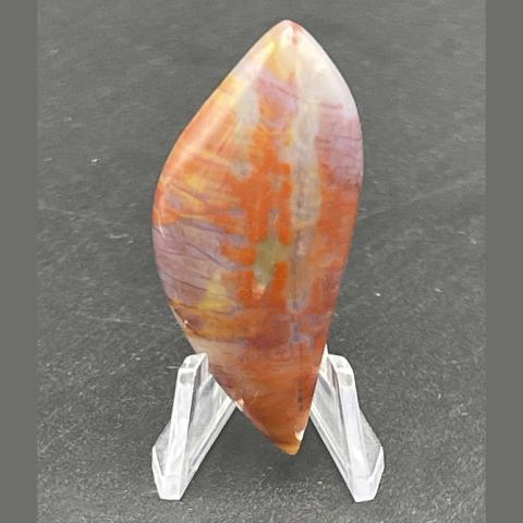 AZ Rainbow Petrified Wood Skewed Navette
