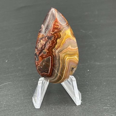 Laguna Crazy Lace Pear